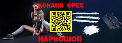 гашик Кудрово