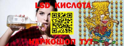 гашик Кудрово