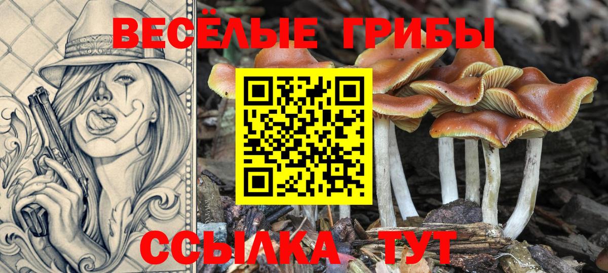 Казань  Псилоцибиновые грибы Magic Shrooms  цена наркотик  Вход с VPN 